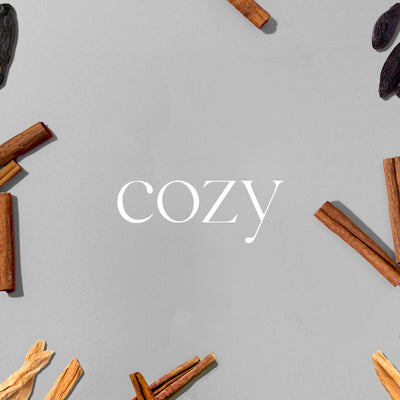 Diffuser Drops Twin Pack | Cozy
