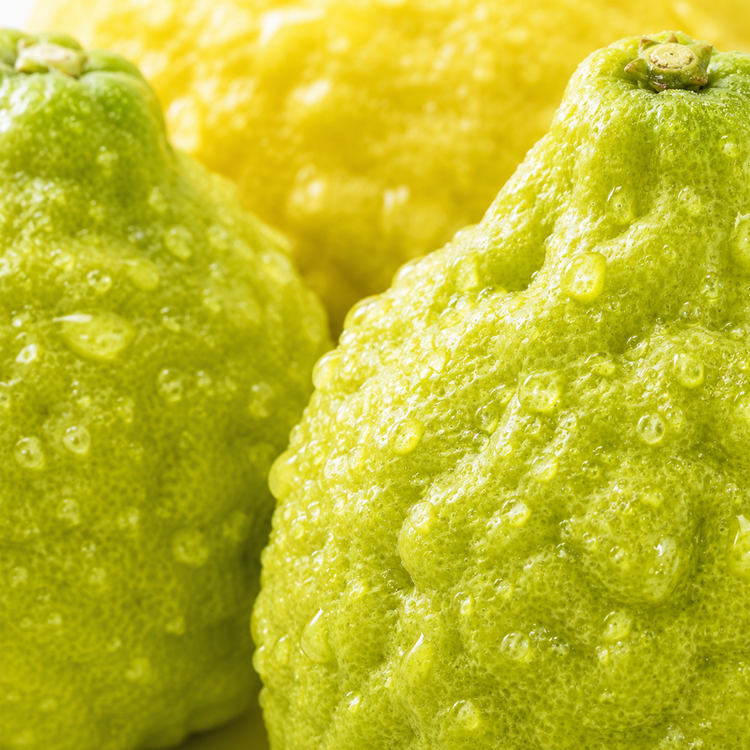 Bergamot note card