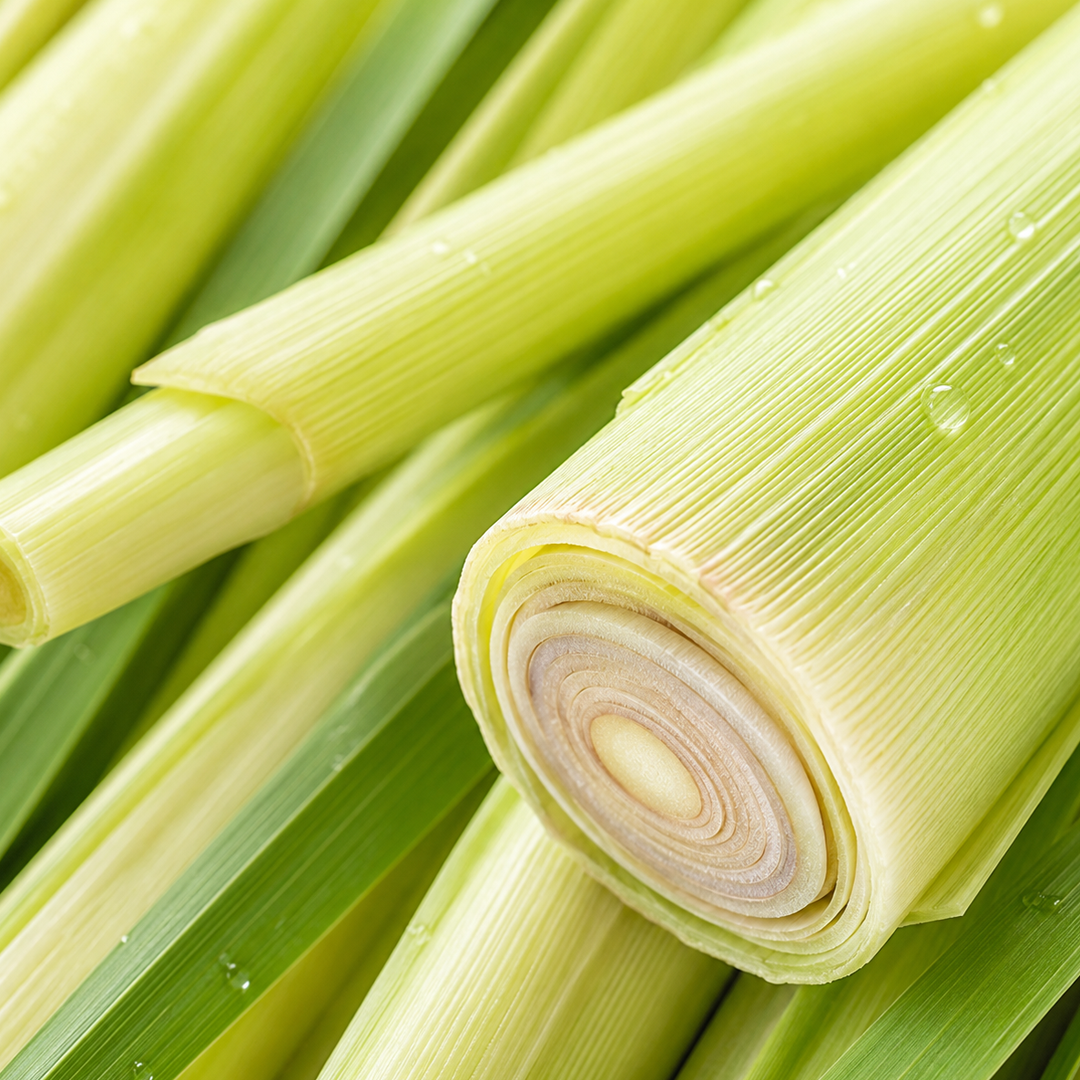 Lemongrass note card
