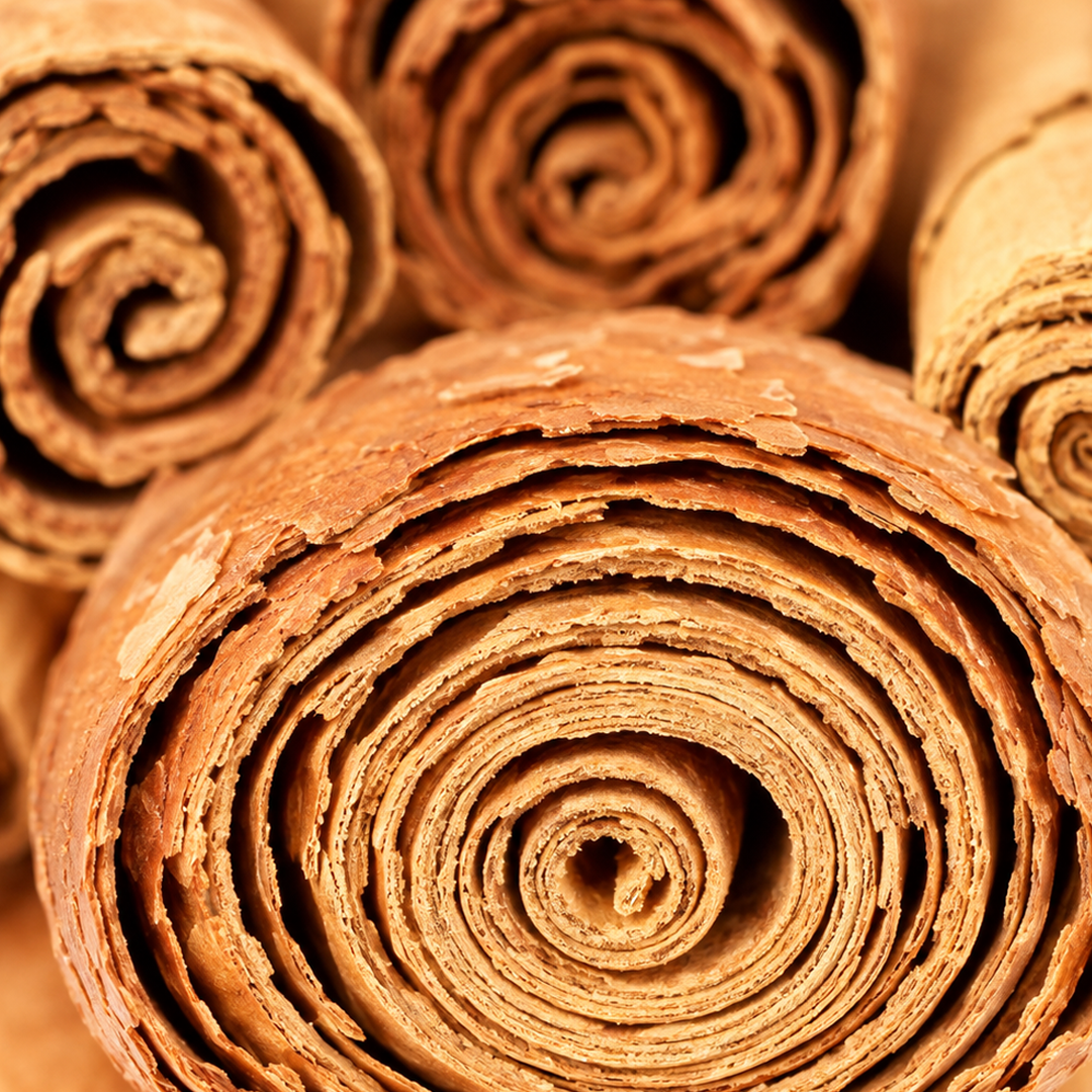 Cinnamon note card