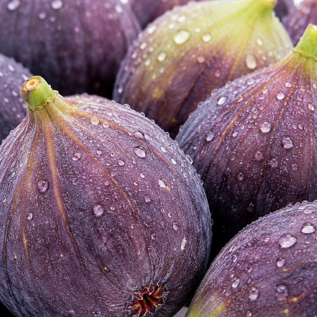 Fig note card