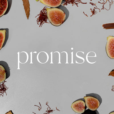 Oil Reed Diffuser Twin Pack | Promise
