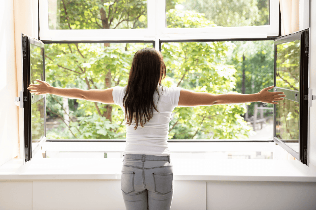 5 MANERAS DE PURIFICAR EL AIRE DE TU HOGAR | Doctor Aromas