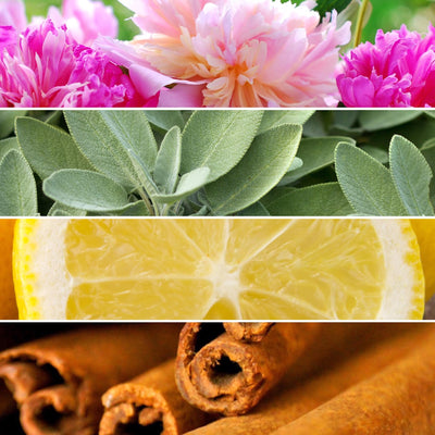 5 Reasons to Swap Your Scents