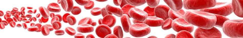 6 Guaranteed Natural Ways to Improve Your Blood Circulation | Doctor Aromas