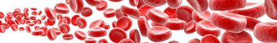 6 Guaranteed Natural Ways to Improve Your Blood Circulation