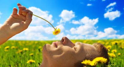 Aromatherapy Can Help Reduce Anxiety