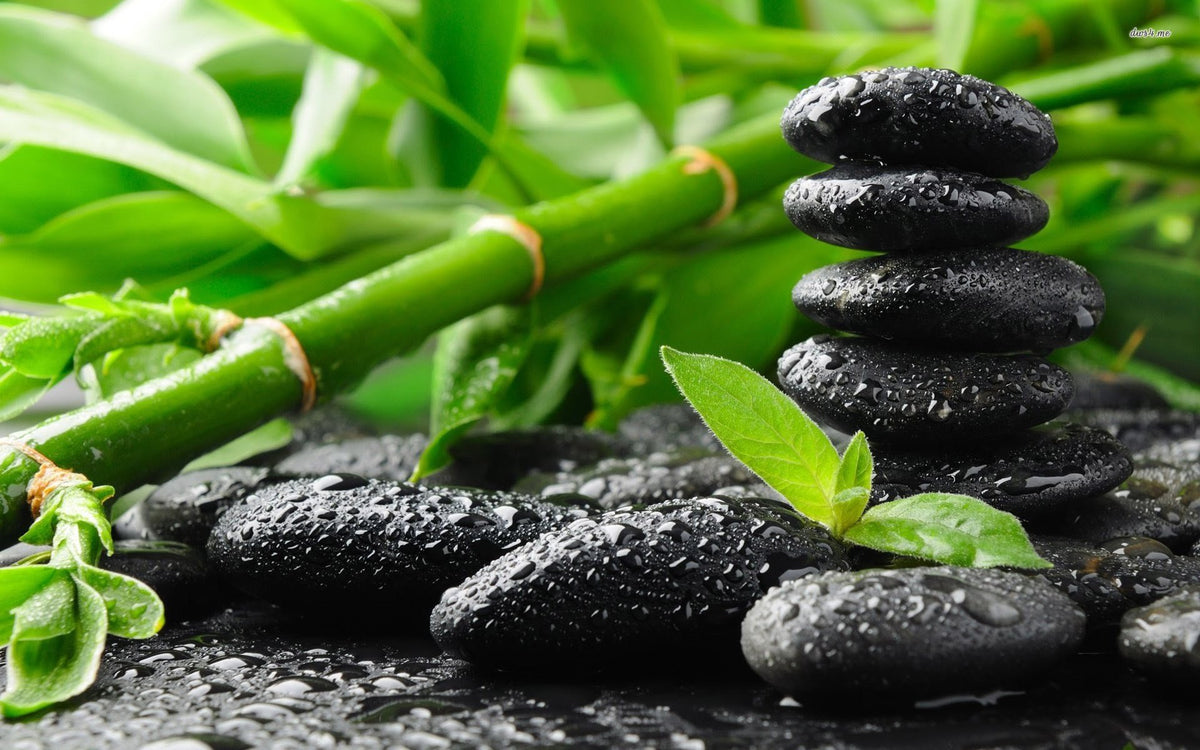 Feng Shui Your Way to Retail Success | Doctor Aromas