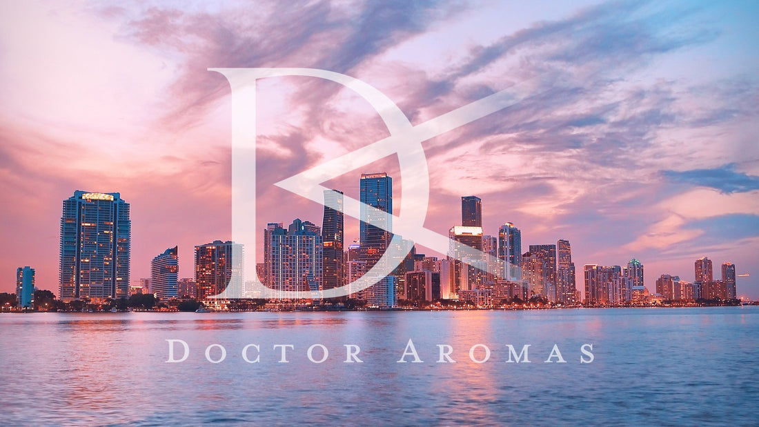 How to do Winter in Miami | Doctor Aromas