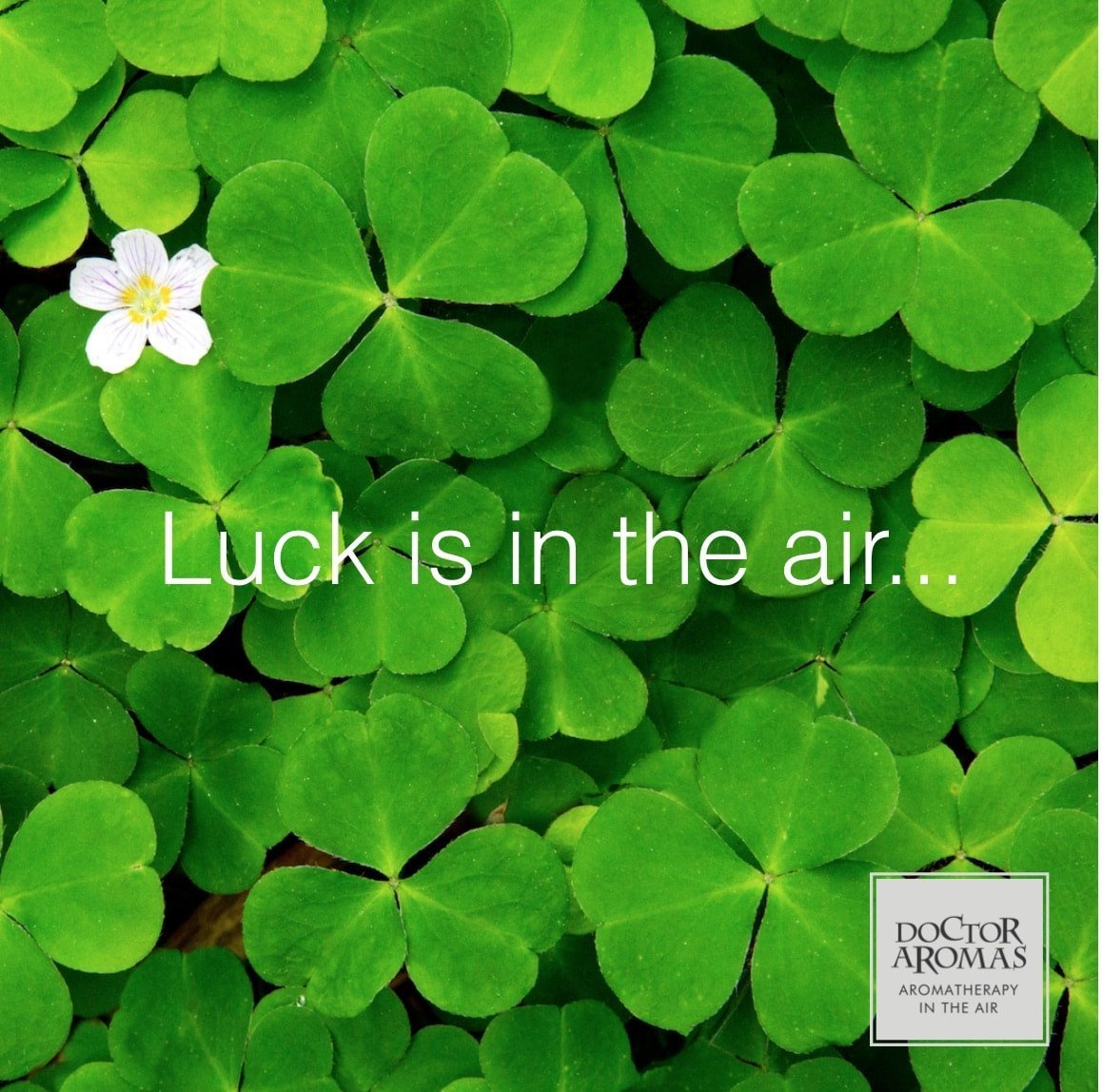 Luck is in the Air! | Doctor Aromas