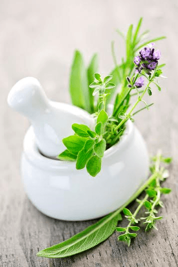 The History of Essential Oils