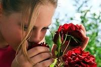 Why is Smell Linked to Memory?