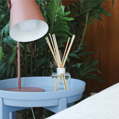 Clear glass reed diffuser with light wooden sticks on a blue round side table next to a pink desk lamp and green plants. - Oil Reed Diffuser | Holiday - Holiday - Doctor Aromas