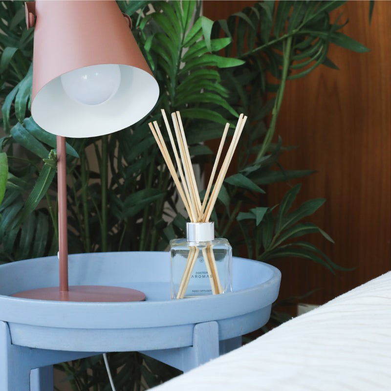 Clear glass reed diffuser with light wooden sticks on a blue round side table next to a pink desk lamp and green plants. - Oil Reed Diffuser | Holiday - Holiday - Doctor Aromas