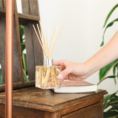 Square clear glass oil reed diffuser with natural wooden reeds on rustic wooden table with hand touching it. - Oil Reed Diffuser | Holiday - Holiday - Doctor Aromas