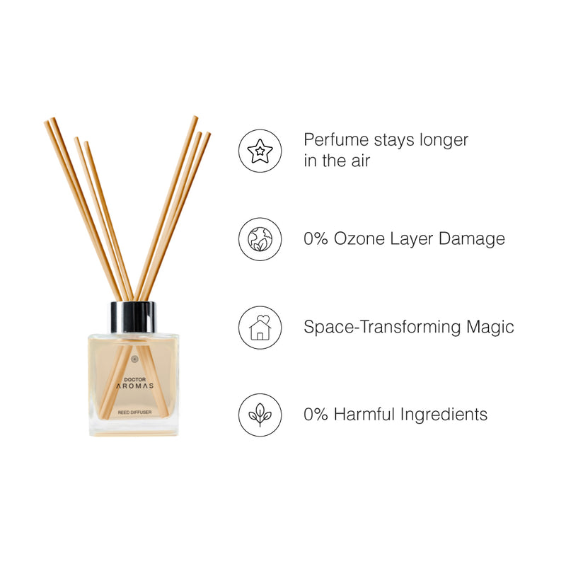Square clear glass reed diffuser bottle with light beige holiday-scented oil and six natural wooden reeds. - Oil Reed Diffuser | Holiday - Holiday - Doctor Aromas