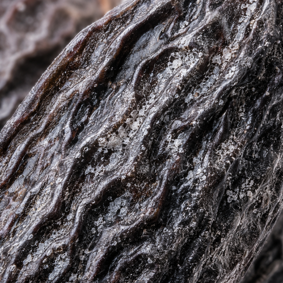 Tonka Bean note card