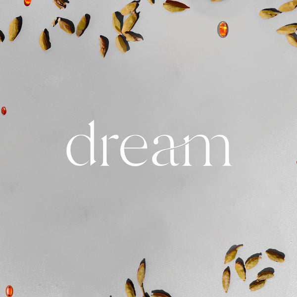 Mini A/C Scenting System - Dream