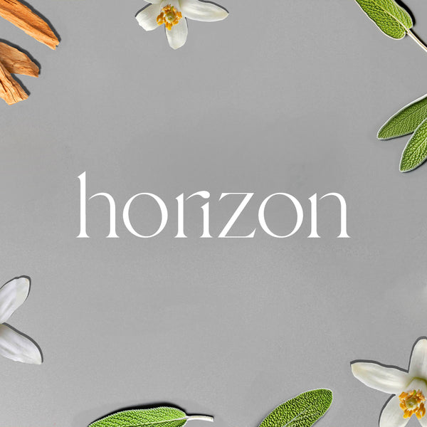 Mini A/C Scenting System - Horizon