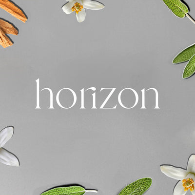 A/C Scent Refill | Horizon