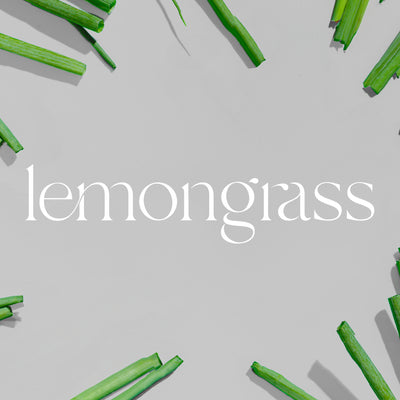 A/C Scent Refill | Lemongrass
