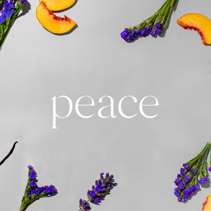 Minimalist white background with the word "peace" in elegant lowercase serif font surrounded by peach slices and purple. - Oil Reed Diffuser Refill | Peace - Peace - Doctor Aromas
