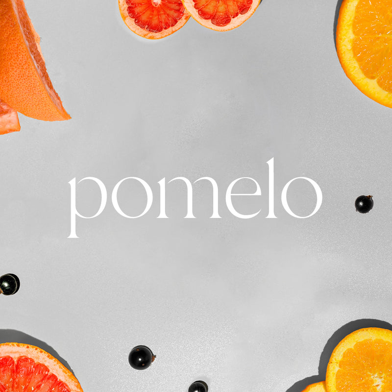 Pomelo A/C scenting system with grapefruit and orange slices on gray background. - A/C Scenting System | Pomelo - Pomelo - Doctor Aromas
