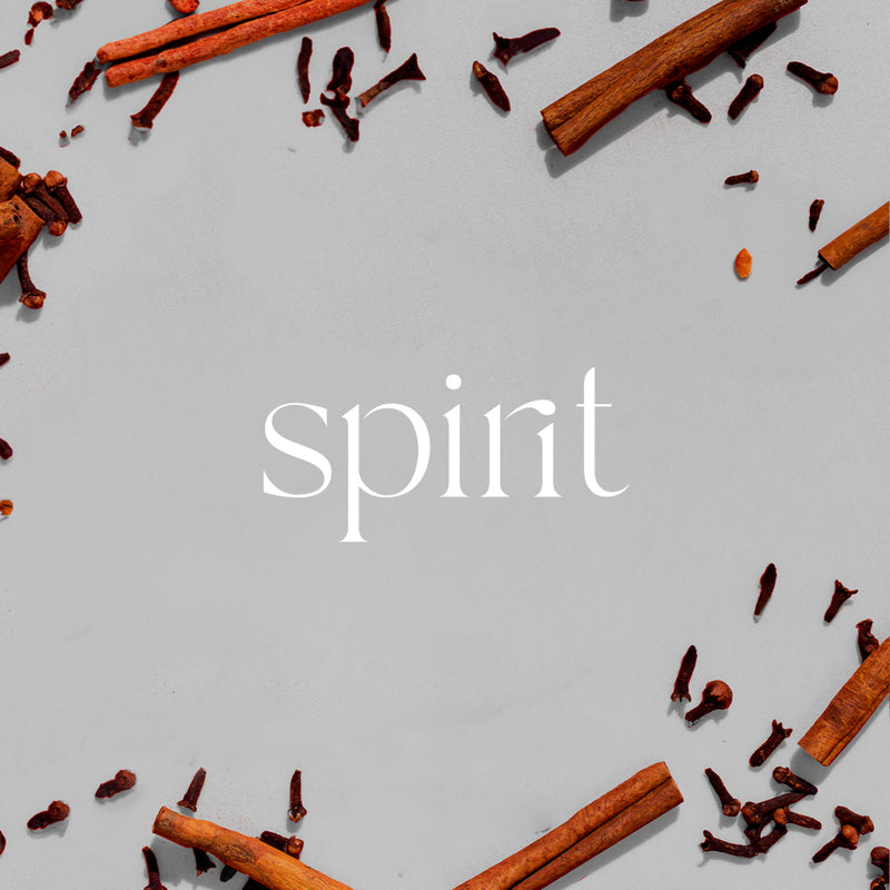 Oil Reed Diffuser Refill | Spirit