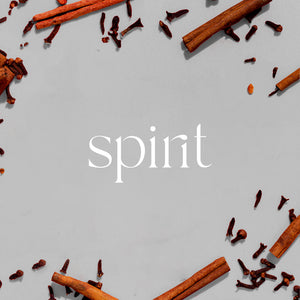 White background with scattered cinnamon sticks and cloves surrounding the word Spirit in elegant serif font. - Plug-In Diffuser | Spirit - Spirit - Doctor Aromas