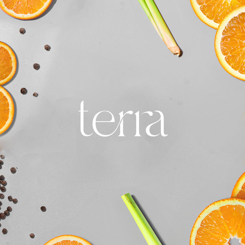 Aroma Diffuser 500 | Terra